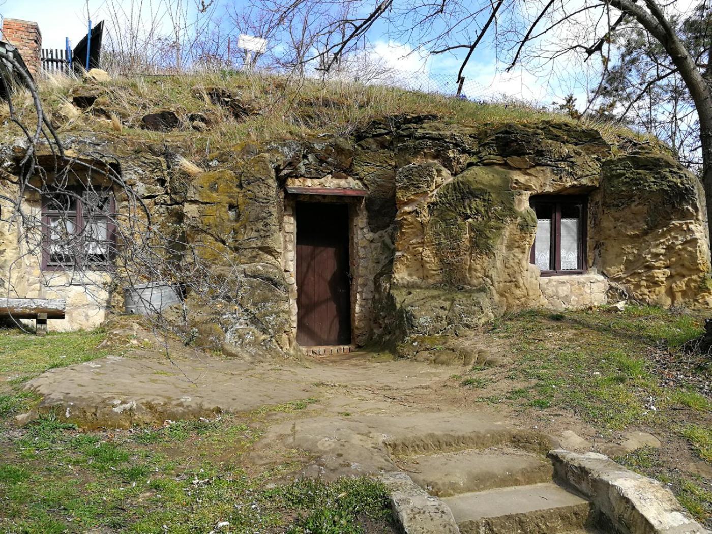 Ferienapartment Bergstation Braunlage Dış mekan fotoğraf