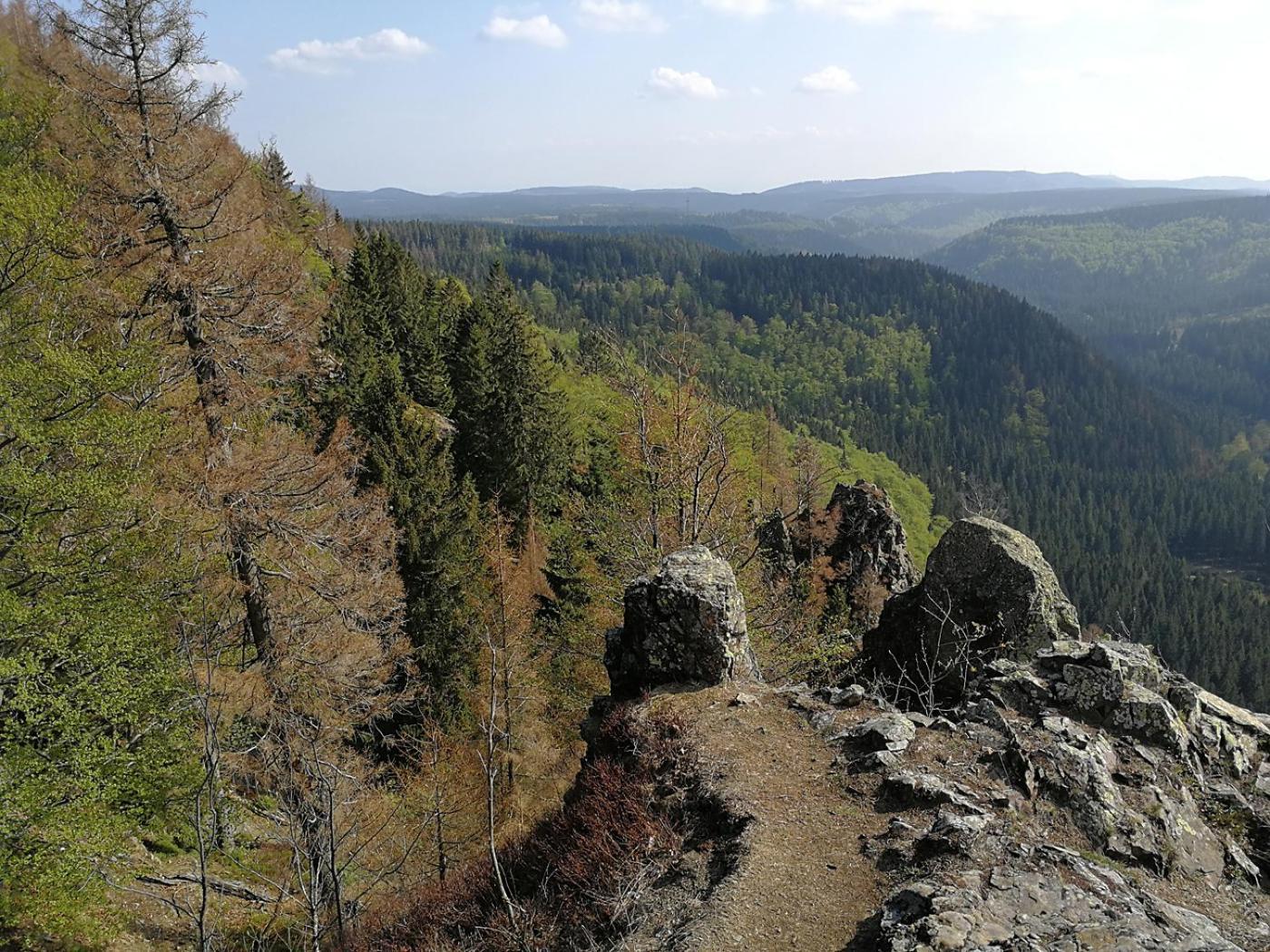 Ferienapartment Bergstation Braunlage Dış mekan fotoğraf