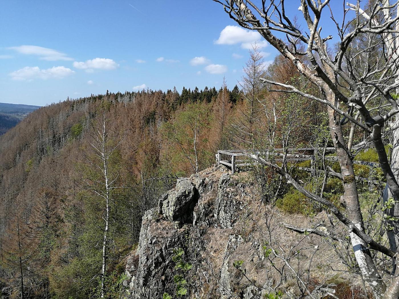 Ferienapartment Bergstation Braunlage Dış mekan fotoğraf